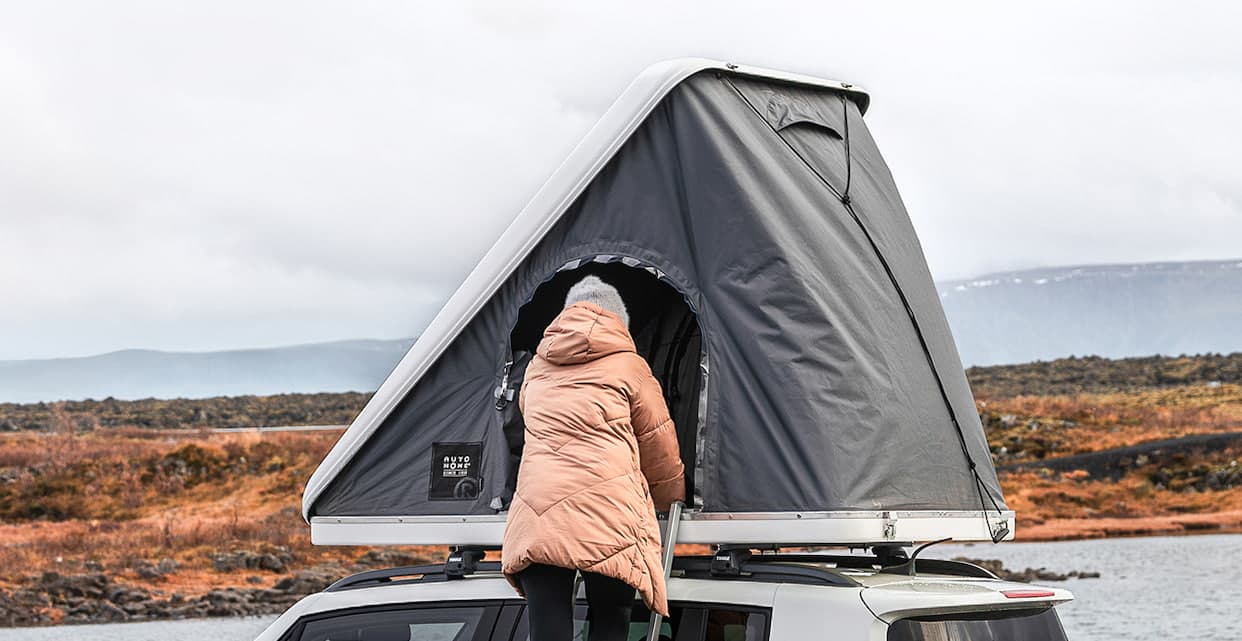 Locks, Latches & Ladder